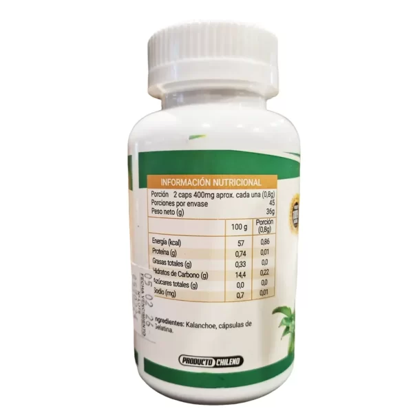 Morlan Kalanchoe – Suplemento Alimenticio Natural