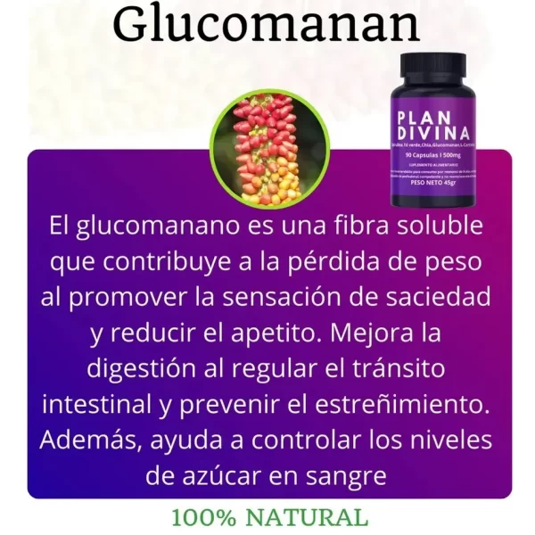 Morlan Suplemento Natural Plan Divina – Control del Apetito y Energía