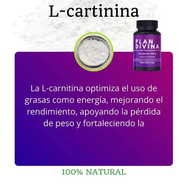 Morlan Suplemento Natural Plan Divina – Control del Apetito y Energía