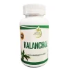 Morlan Kalanchoe – Suplemento Alimenticio Natural
