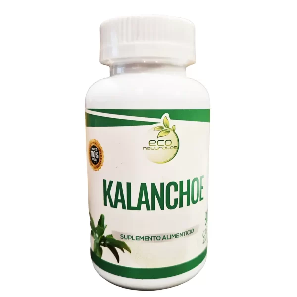 Morlan Kalanchoe – Suplemento Alimenticio Natural