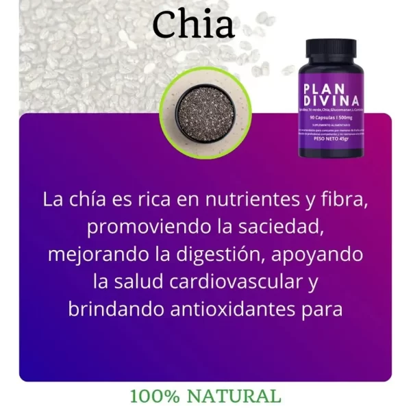 Morlan Suplemento Natural Plan Divina – Control del Apetito y Energía