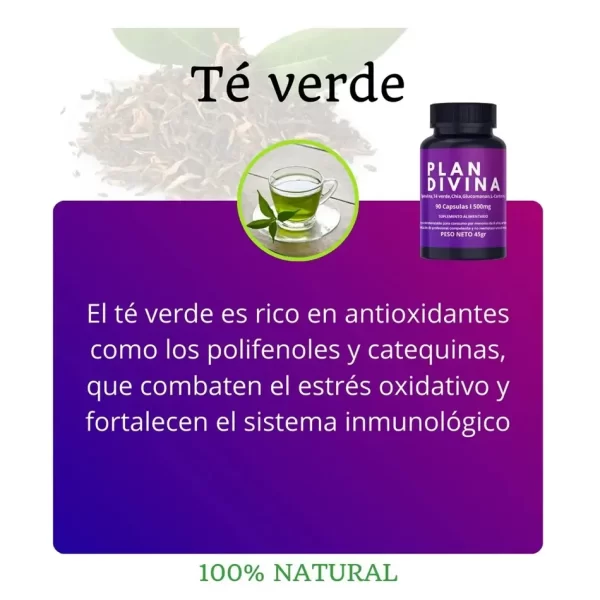Morlan Suplemento Natural Plan Divina – Control del Apetito y Energía